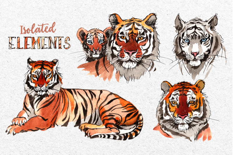 animals-tigers-watercolor-png