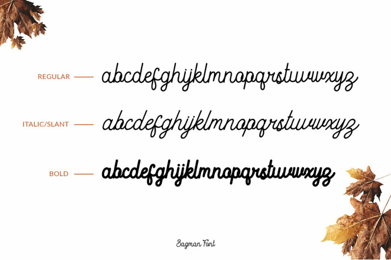bagman-script-font