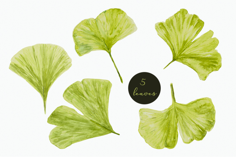 watercolor-ginkgo-clip-art-and-pattern