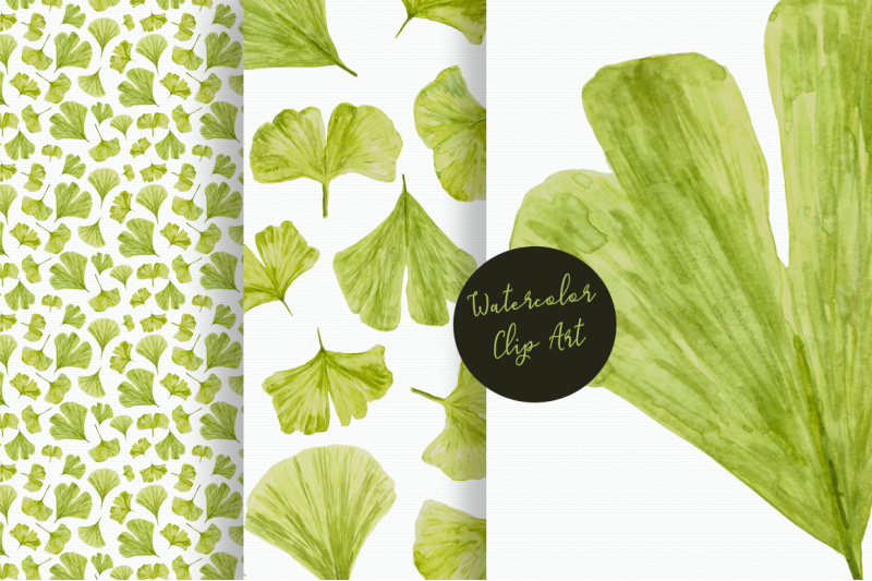 watercolor-ginkgo-clip-art-and-pattern