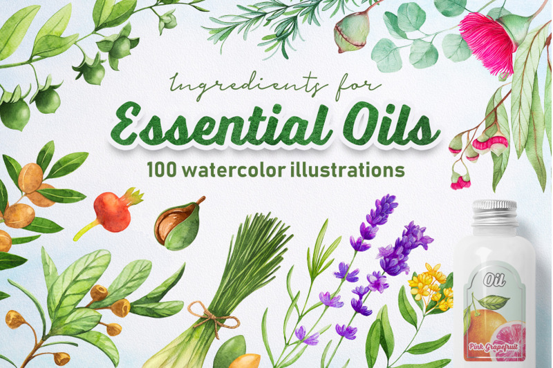 essential-oils-watercolor