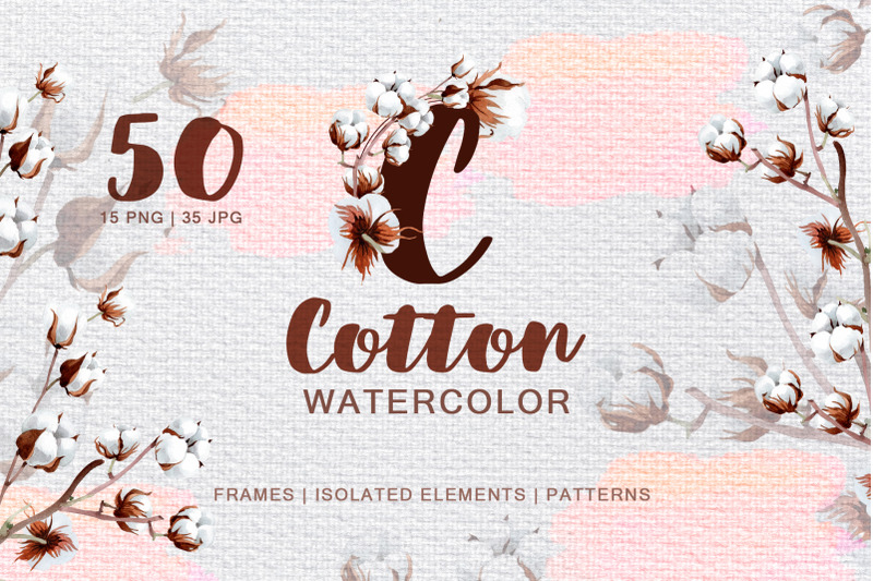 cotton-watercolor-png