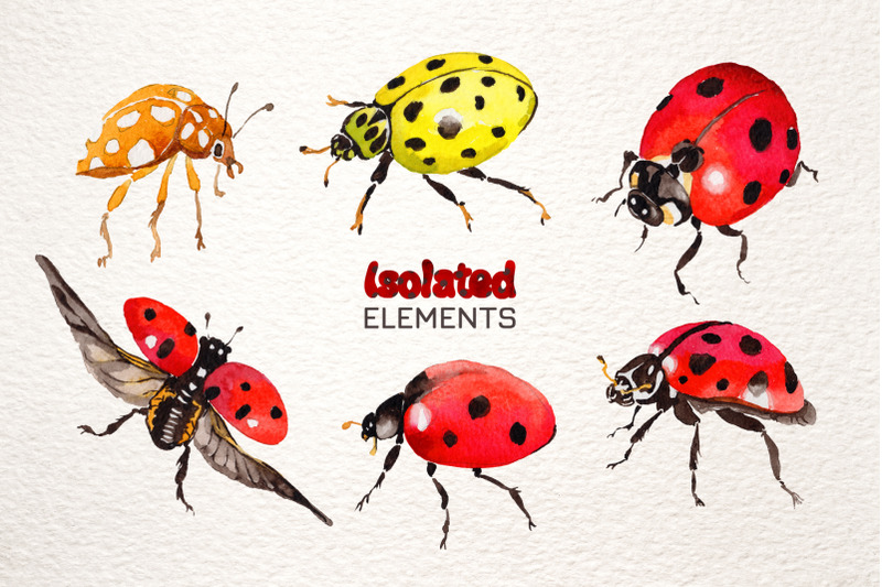 ladybug-watercolor-png