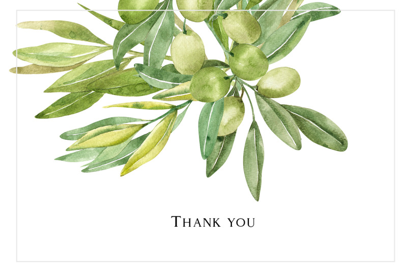 olive-design-watercolor-and-graphic