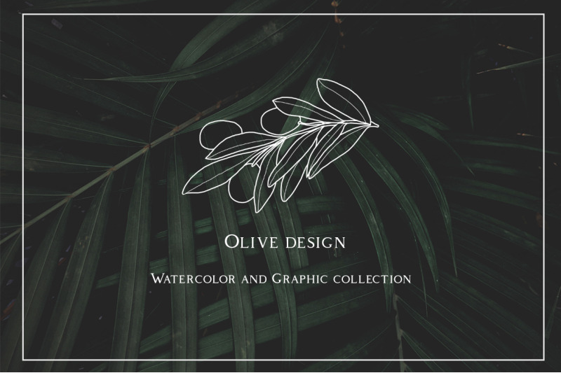 olive-design-watercolor-and-graphic