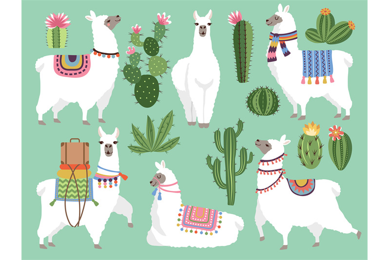 set-illustrations-of-animals-llama-and-alpaca-wool