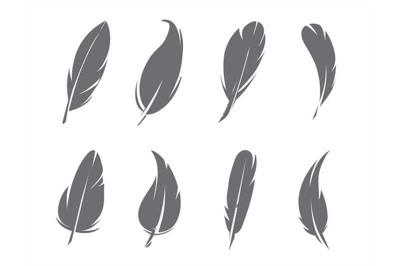 monochrome-pictures-of-feathers-isolate-on-white-background