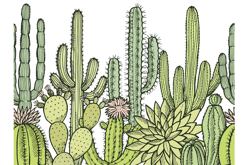 horizontal-seamless-pattern-with-illustrations-of-wild-cactuses