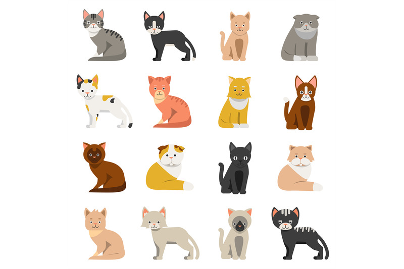 funny-cats-in-flat-style-isolate-on-white-background