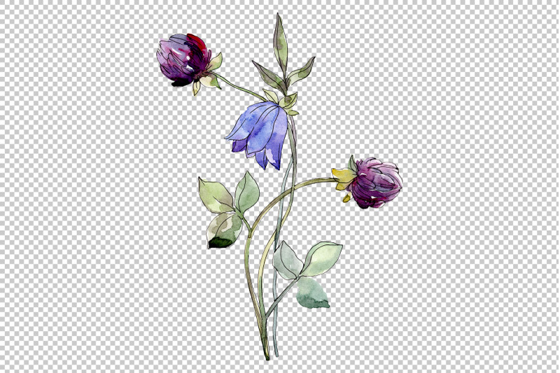 wildflowers-watercolor-png