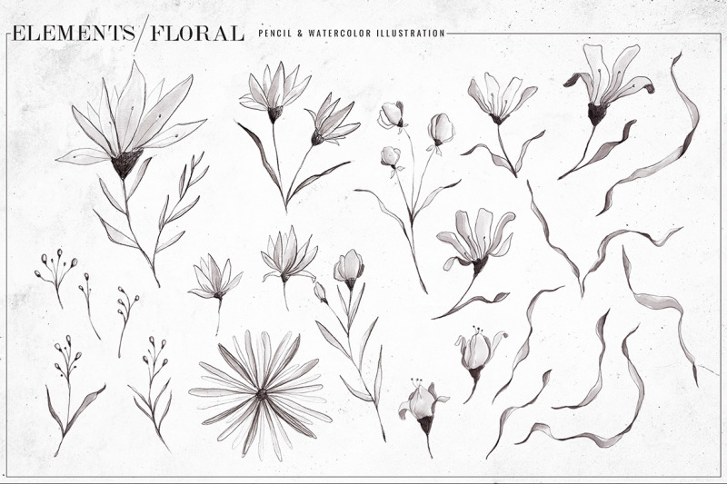 black-amp-white-watercolor-floral