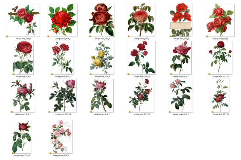 vintage-roses-clipart