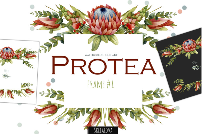 protea-frame-1