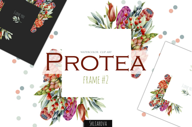 protea-frame-2