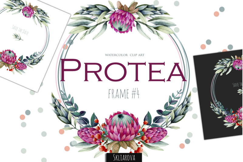 protea-frame-4
