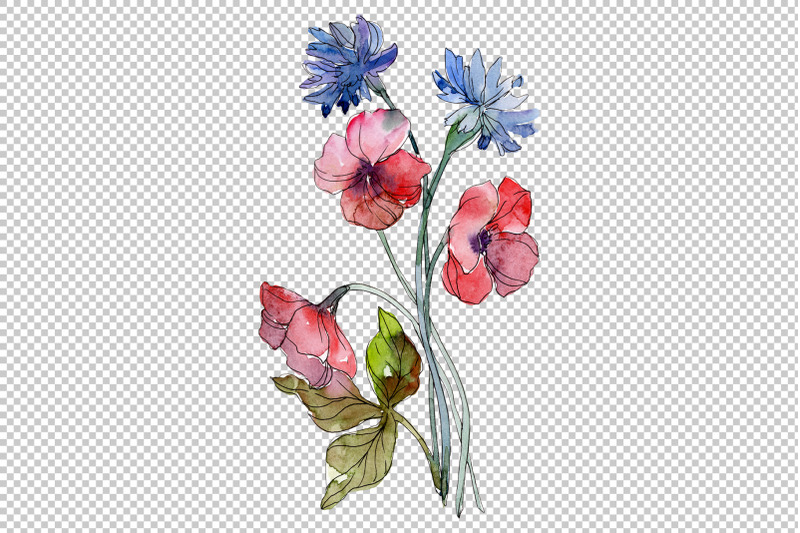 wildflowers-the-beauty-watercolor-png