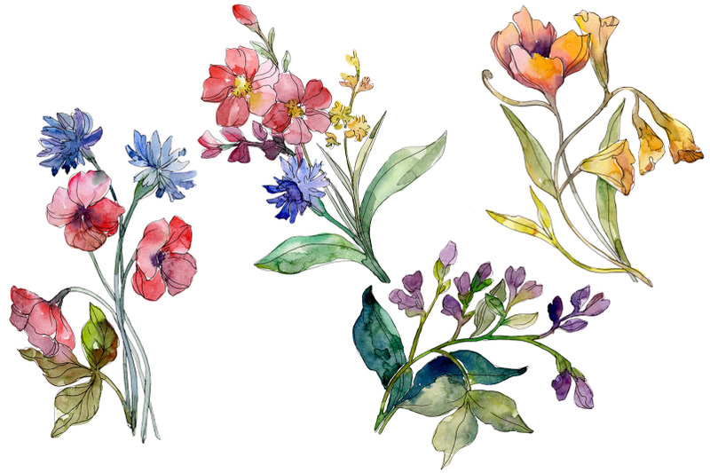 wildflowers-the-beauty-watercolor-png