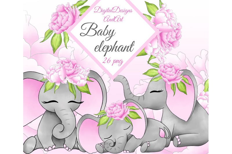 baby-elephant-in-pink