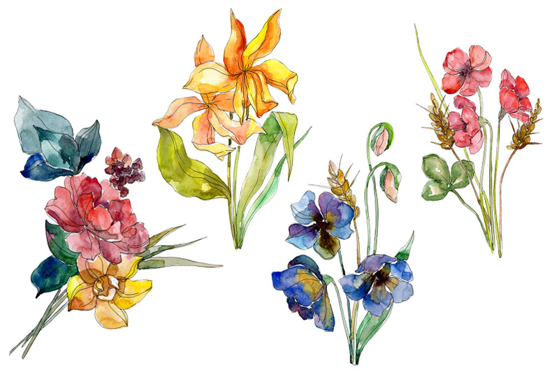 wildflowers-world-of-wonders-watercolor-png