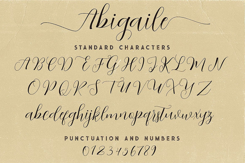 Abigaile Script Font By Cruzine Design Thehungryjpeg Com