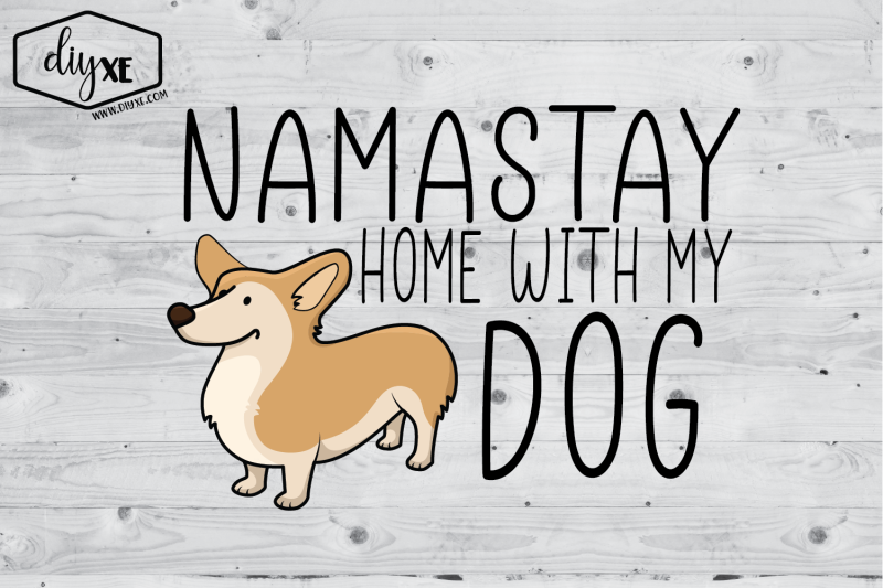 namastay-home-with-my-dog