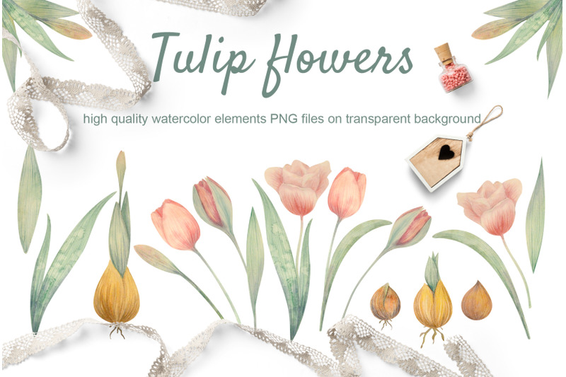 tulip-flowers-set-of-watercolor-elements