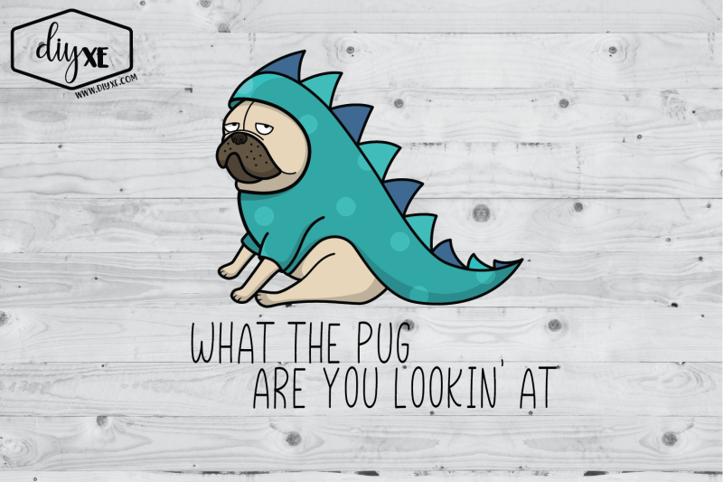 what-the-pug-are-you-lookin-039-at