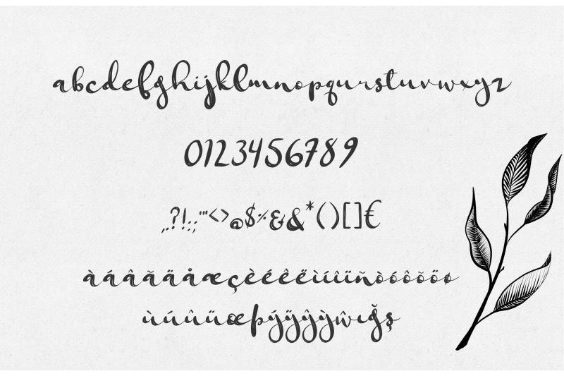 Jungfrau Modern Calligraphy Brush Script By Wooly Pronto Thehungryjpeg Com
