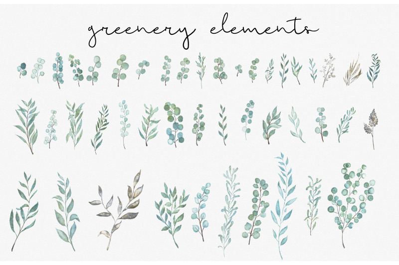 painted-eucalyptus-watercolor-greenery-graphic-clipart-set
