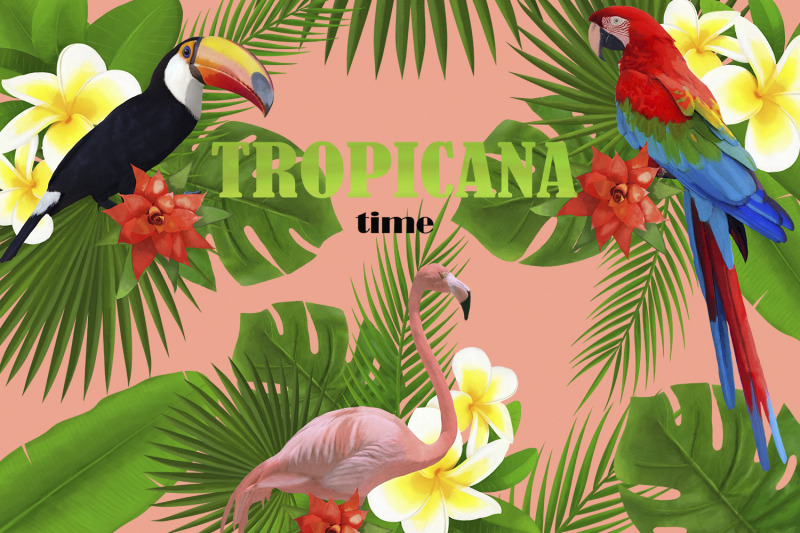 tropicana-watercolor-set