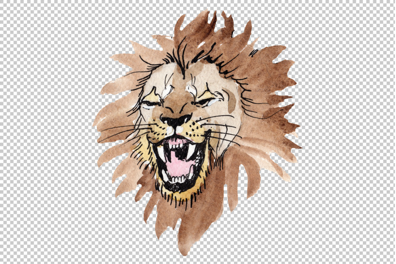 animal-lion-watercolor-png