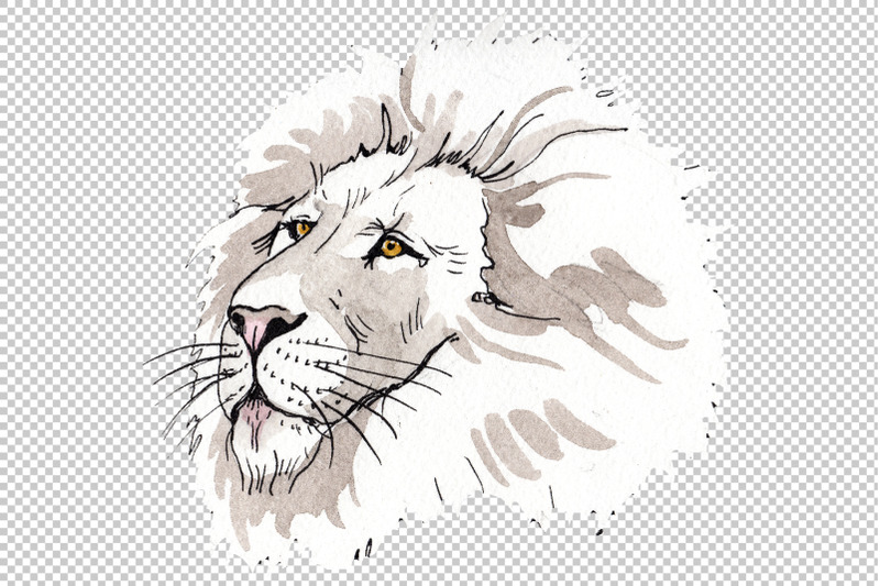 animal-lion-watercolor-png