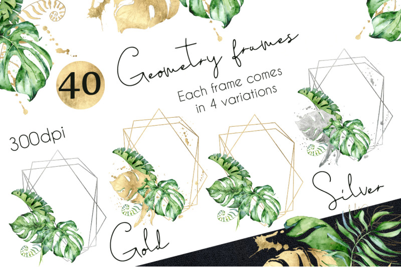 geometry-tropical-frames-creator
