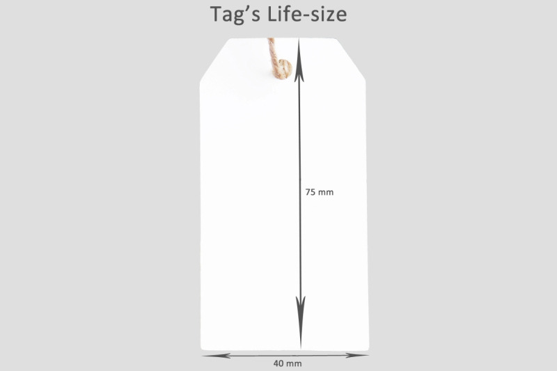 Download Hang Tag Mockup Psd Free Yellowimages