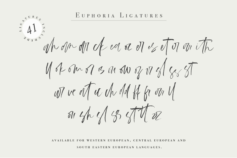 Euphoria Handwritten Font By Calamar Thehungryjpeg Com