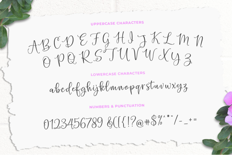 hello-blushberry-font-duo