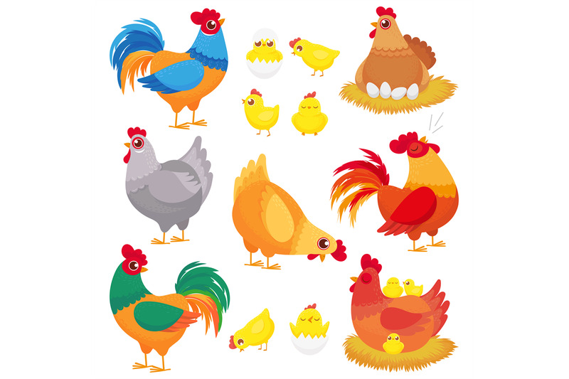 cute-domestic-chicken-farm-breeding-hen-poultry-rooster-and-chickens
