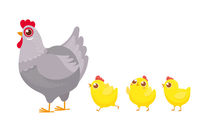chicks-following-chicken-spring-easter-chickens-hatched-chick-and-he