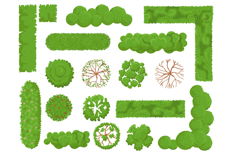 top-view-trees-and-bushes-forest-tree-green-park-bush-and-plant-map