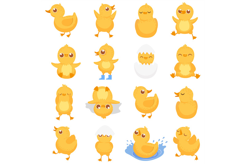 yellow-duckling-cute-duck-chick-little-ducks-and-ducky-baby-isolated