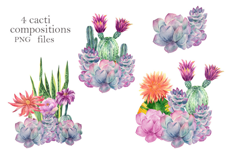 cacti-compositions