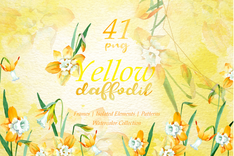 yellow-daffodil-watercolor-png