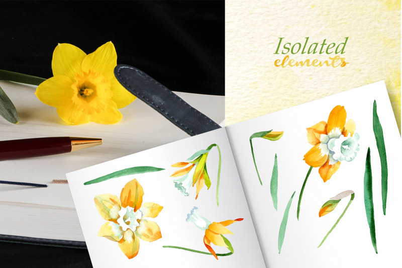 yellow-daffodil-watercolor-png