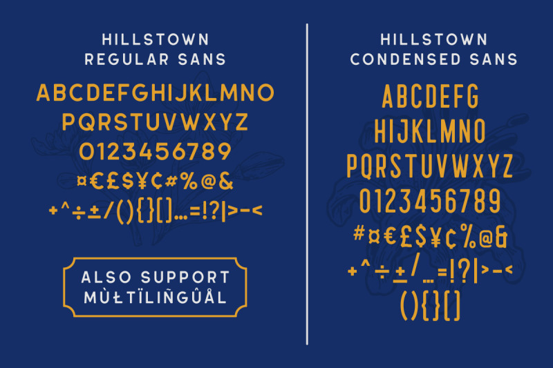 hillstown-font-collection-extra
