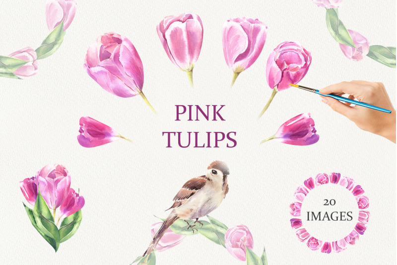 pink-tulips-watercolor-set