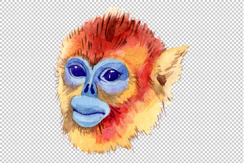 primates-watercolor-png