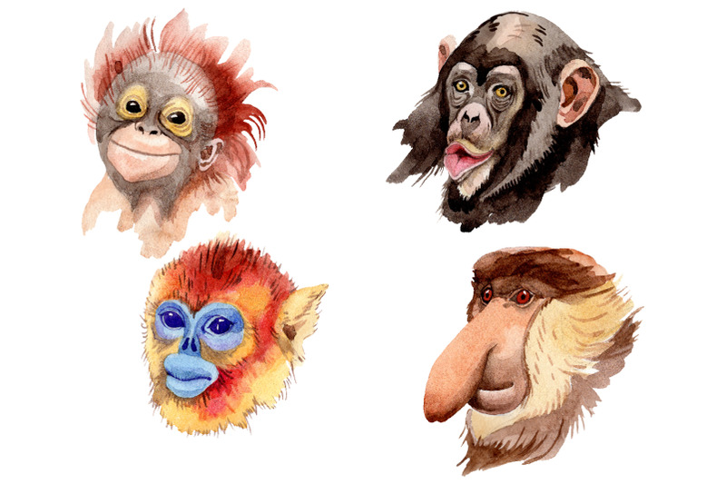 primates-watercolor-png