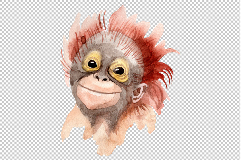 primates-watercolor-png