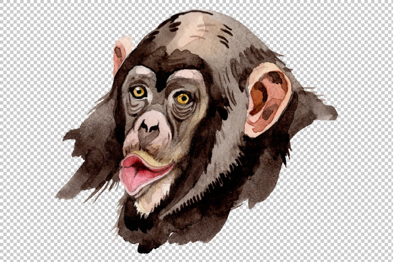 primates-watercolor-png