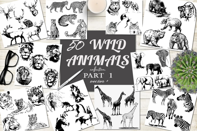 50-wild-animals-hand-drawn-silhouette-vector-illustrations